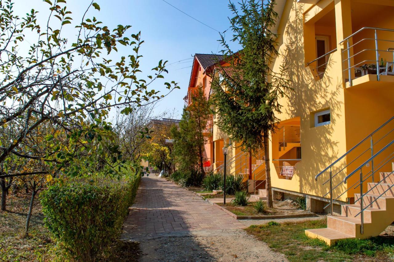 Pensiunea Carmena Băile Felix Extérieur photo