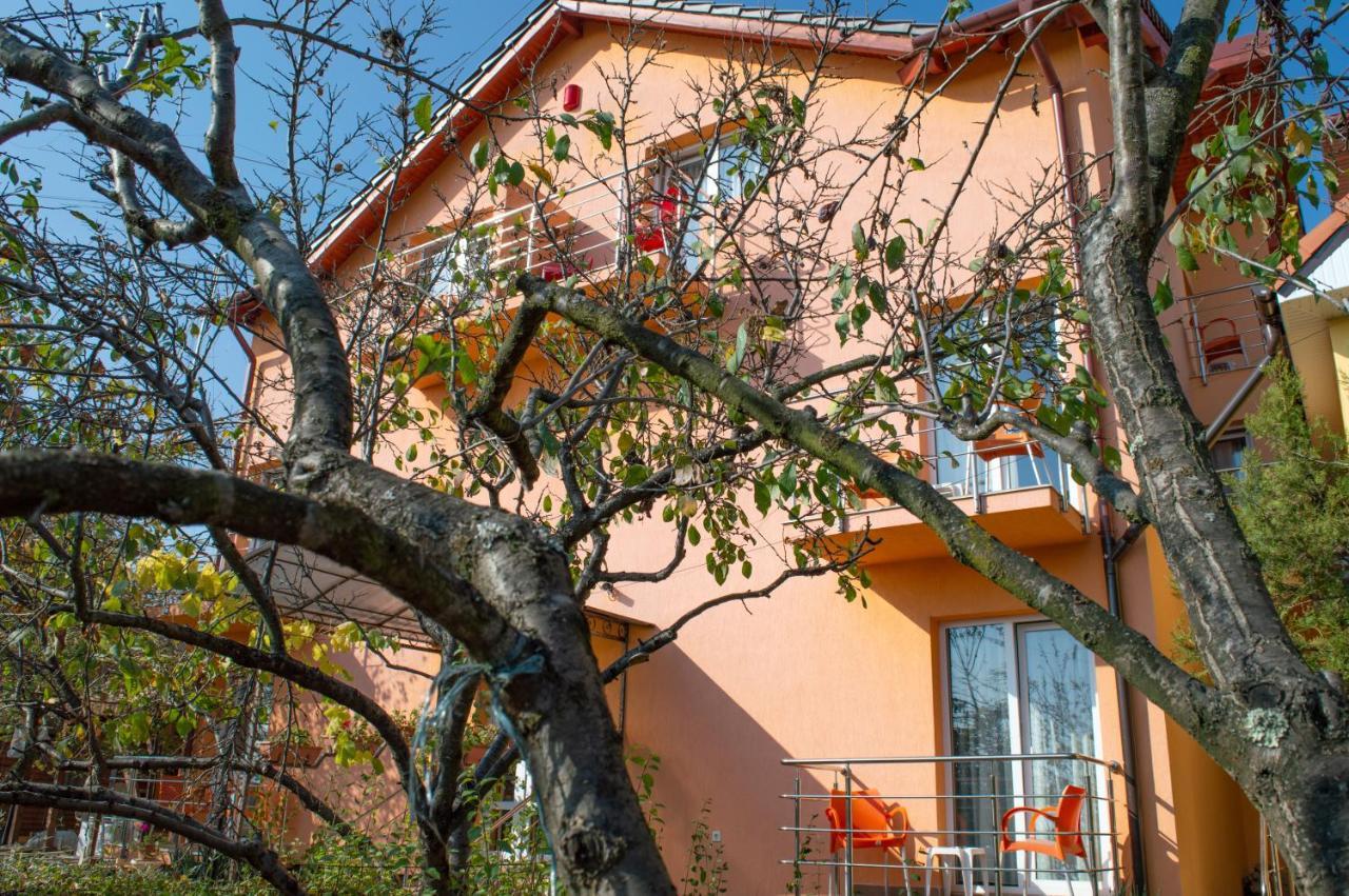 Pensiunea Carmena Băile Felix Extérieur photo